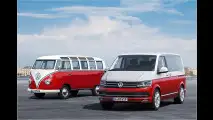 Auf der Suche nach den Bulli-Genen