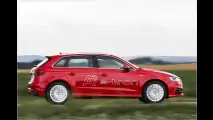 Für den Öko-Ingenieur