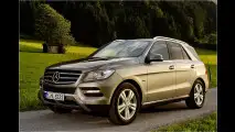 Neues Topmodell