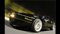 Hommage an Ayrton Senna