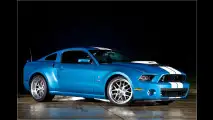 Bissigster Mustang