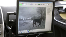 Volvo animal detection system 09.7.2012