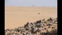 Nuova Range Rover Sport, record nel deserto dell'Empty Quarter