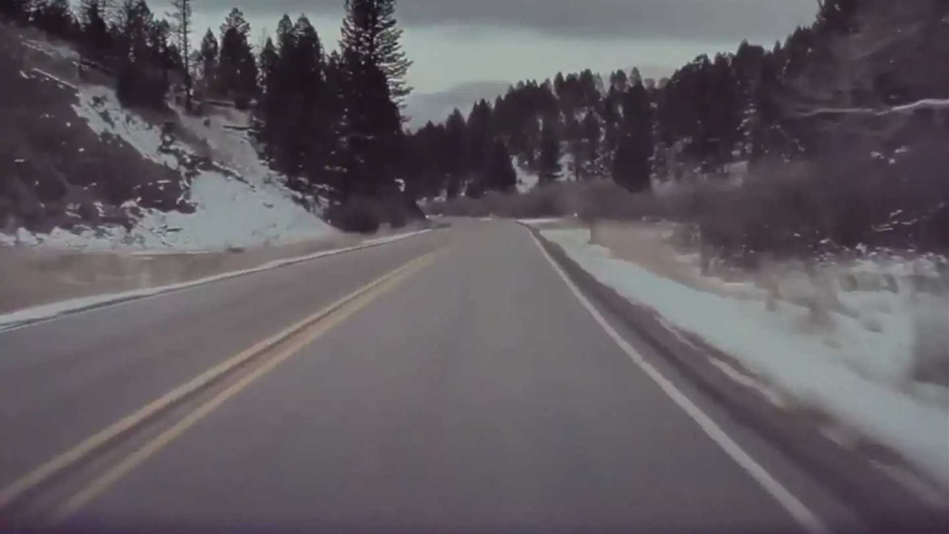 See Tesla Autopilot Brake For a Mountain Lion In Montana