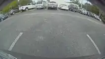Do You Recognize This Jaguar? What About This Tesla Owner?