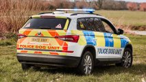 Skoda Kodiaq Dog Van
