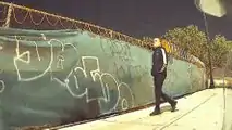 Do You Know Who This Vandal Is? Your Input Is Valuable