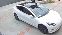 Tesla Model 3 Window Shatters By Itself? Owner Is Accused Of FUD