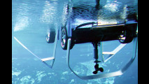 Verrückter Land-Wasser-Floh