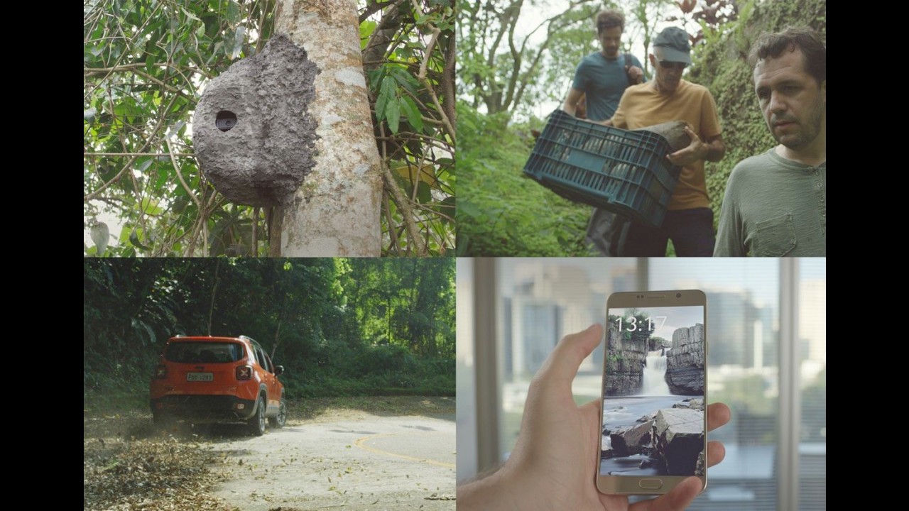 Jeep cria aplicativo que denuncia crimes contra a Mata Atlântica
