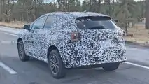 2022 Lexus NX Rear Spy Photo