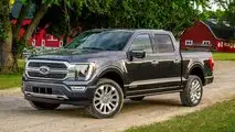 Platz 2: Ford F-Serie