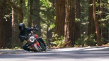 2021 Ducati Monster - Redwoods