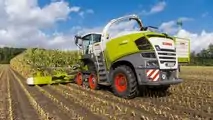 SHREDLAGE Claas9
