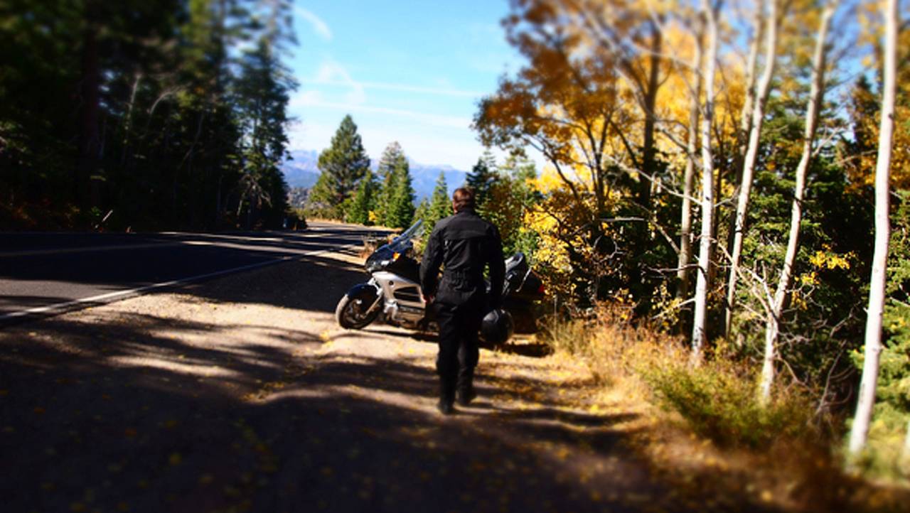 Going Home on a Gold Wing