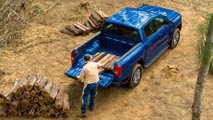 Ford Ranger XLT (2022)