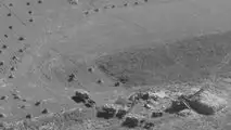Gli albori della trebbiatura meccanica