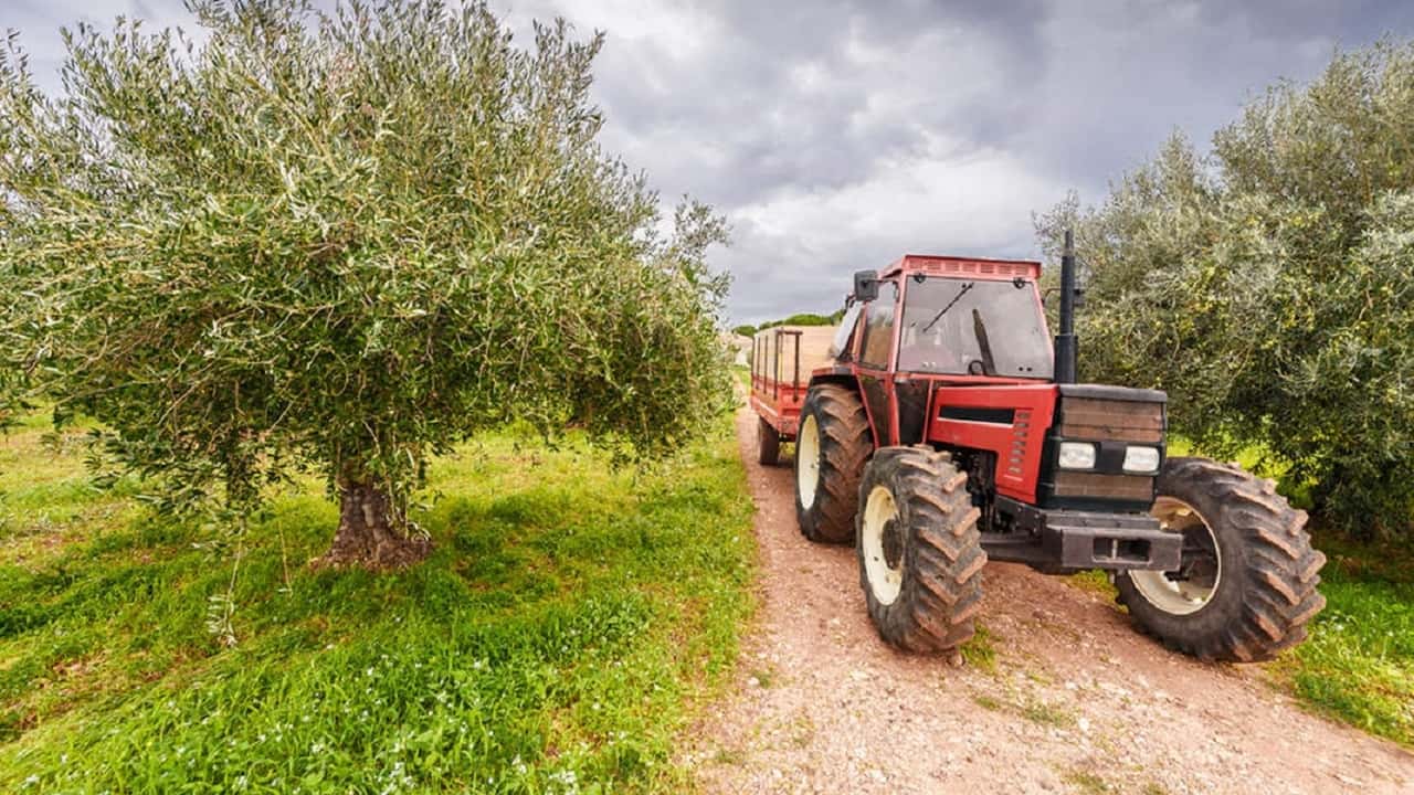 Bonus Sud: ok anche per le imprese con redditi agrari