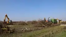 Escavatori JCB: abbattono un frutteto