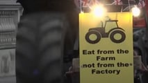 Proteste trattori Londra