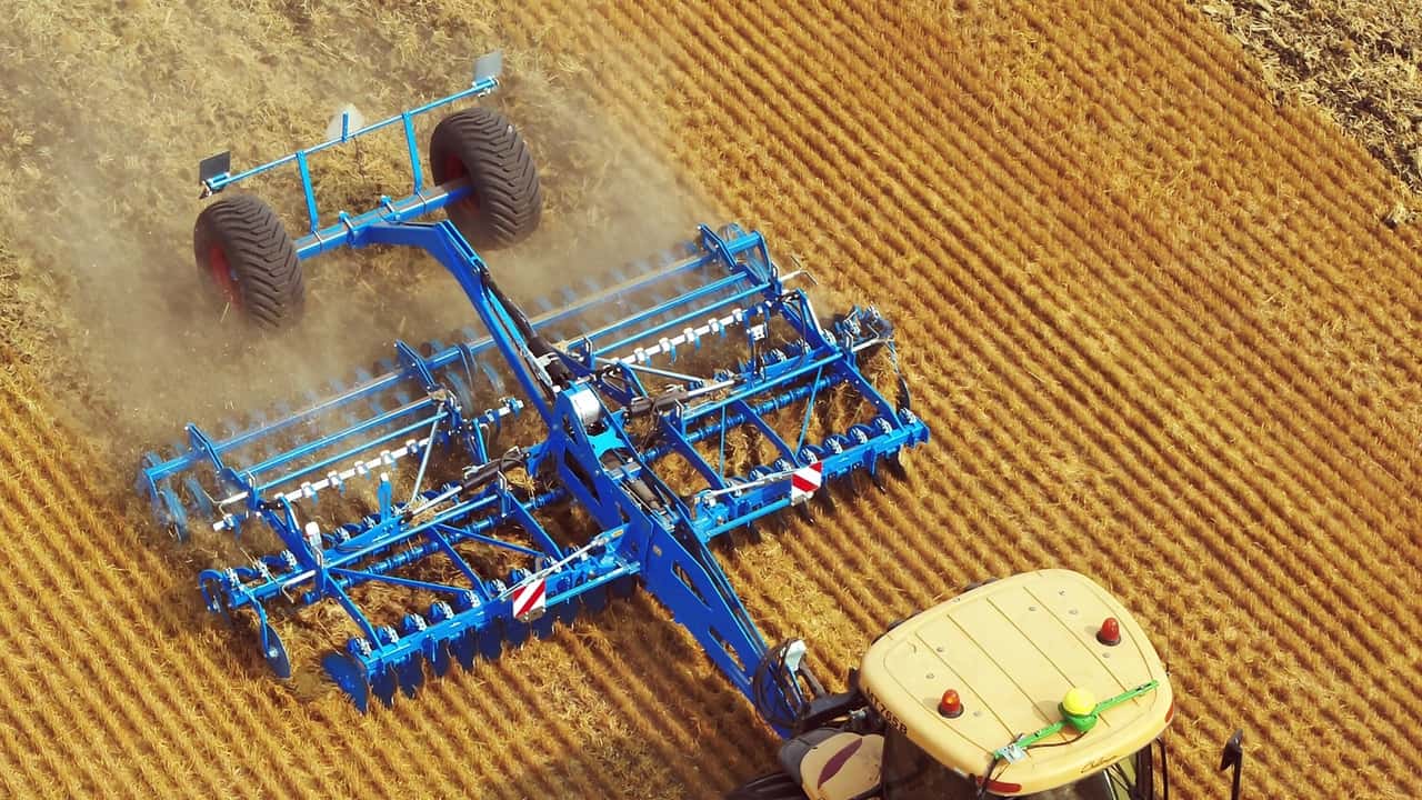 Agricoltura in Italia: primato europeo per valore aggiunto nel 2024