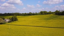 Perché inserire la colza nelle rotazioni 2025-2026?