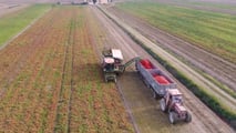 Come organizzare la raccolta meccanica del pomodoro nel 2026