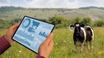 Il virtual fencing rivoluziona la gestione del pascolo: meno manodopera, più controllo, benessere animale migliorato e sostenibilità reale