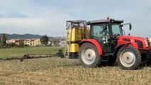 Elumis Syngenta per il Mais: Controllo Infestanti in Post-Emergenza