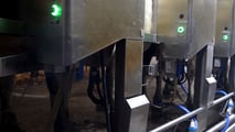 Uso dell’intelligenza artificiale per mungitura, benessere delle bovine e manutenzione predittiva in stalla