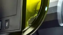 Avaliação do Fiat Grande Panda (2026)