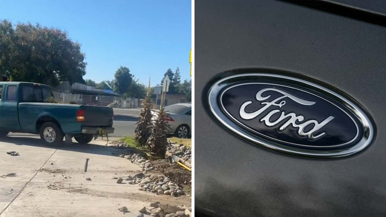 Man says his Ford Ranger ‘can do anything.’ Then he tries to pull a tree out of the ground