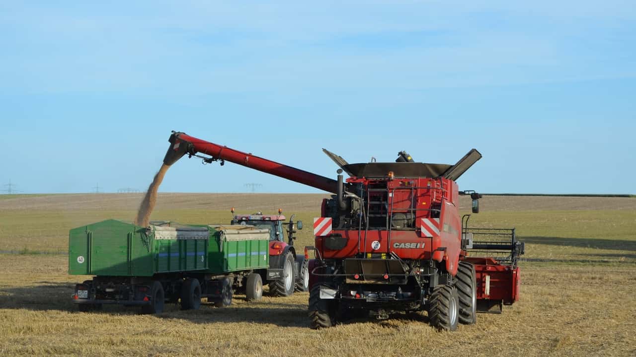 IAP: massima flessibilità nella gestione delle società agricole