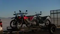 A gaggle of Stark Vargs on the trailer.