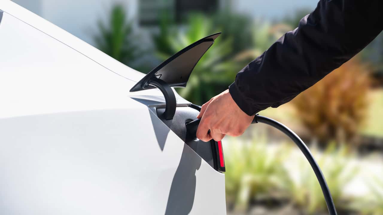 I ricavi deludono: a Tesla basteranno le Model 3 e Model Y Standard?