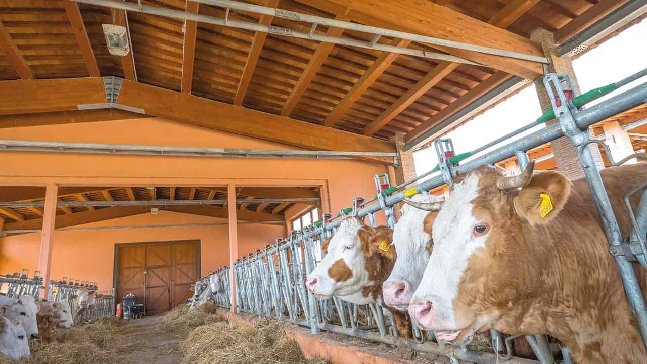 Credito d'imposta ZES: rifinanziamento parziale e automatismo per le imprese agricole