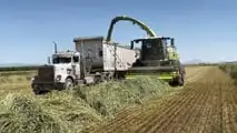 CLAAS JAGUAR 1000: trincia semovente fino a 500 t/h e 1.110 CV