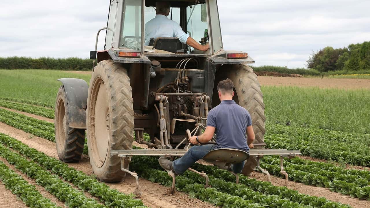 Agricoltura, boom di irregolarità nei controlli sul lavoro