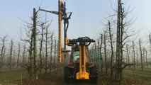 Attrezzature da vigneto e frutteto TOP per il 2024