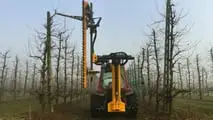 Attrezzature da vigneto e frutteto TOP per il 2024