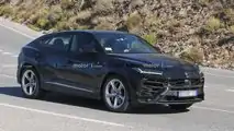 Photo espion Lamborghini Urus PHEV