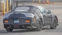 2024 Ford Mustang GT Rückansicht Spion Foto