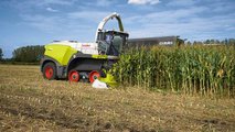 CLAAS Jaguar millesima