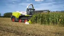 CLAAS Jaguar millesima
