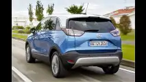 Meriva-Erbe mit französischer DNA