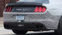 2019 Shelby Mustang GT500 Spy Photos
