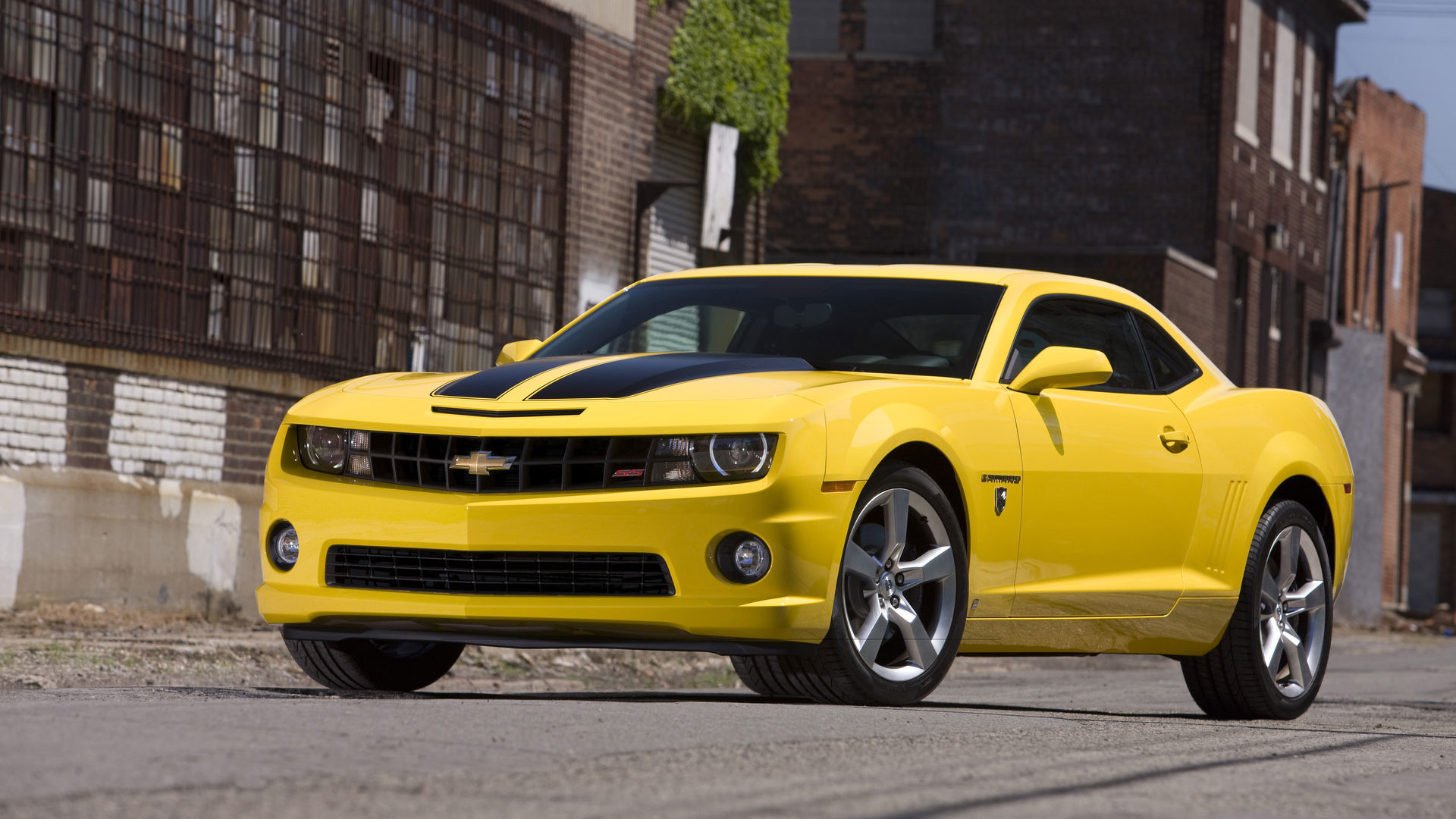 Transformers Bumblebee history Photos