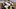 Energica EGO 45