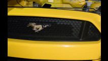 Ford Mustang GT 50 Year Edition