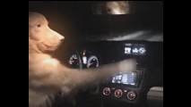 Spot Subaru in Russia